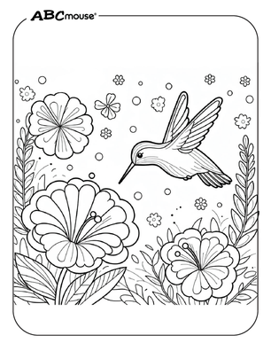 Free printable hummingbird coloring page from ABCmouse.com. 