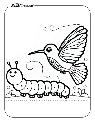 Free printable hummingbird coloring page from ABCmouse.com. 