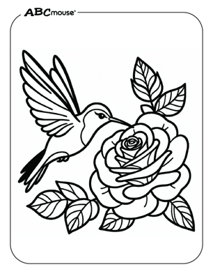 Free printable hummingbird coloring page from ABCmouse.com. 