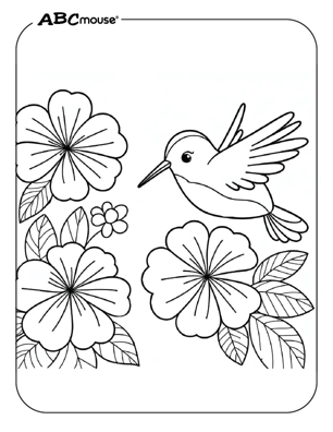 Free printable hummingbird coloring page from ABCmouse.com. 