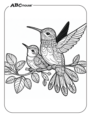 Free printable hummingbird coloring page from ABCmouse.com. 