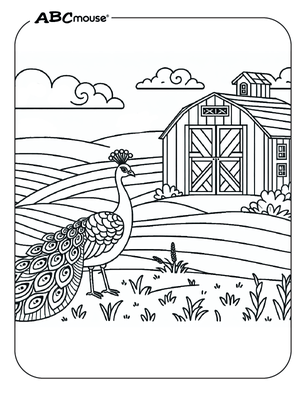 Free printable Peacock coloring page for kids from ABCmouse.com. 