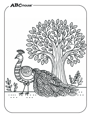 Free printable Peacock coloring page for kids from ABCmouse.com. 