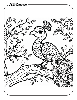 Free printable Peacock coloring page for kids from ABCmouse.com. 