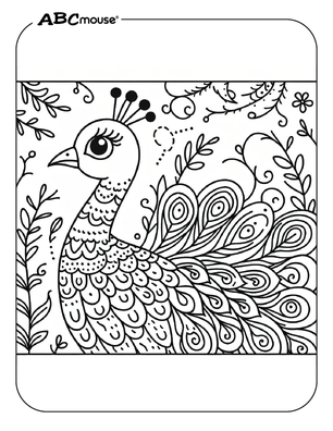 Free printable Peacock coloring page for kids from ABCmouse.com. 