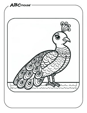 Free printable Peacock coloring page for kids from ABCmouse.com. 