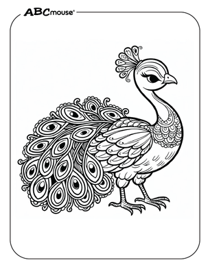 Free printable Peacock coloring page for kids from ABCmouse.com. 