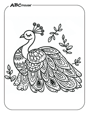 Free printable Peacock coloring page for kids from ABCmouse.com. 