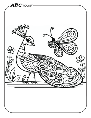 Free printable Peacock coloring page for kids from ABCmouse.com. 