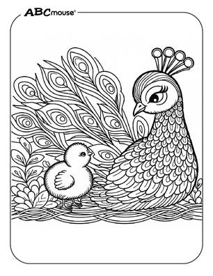 Free printable Peacock coloring page for kids from ABCmouse.com. 