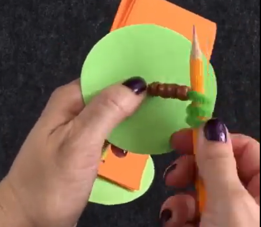 Twisting the end of the green pipe cleaner around a pencil to make the shape of a curly stem. 