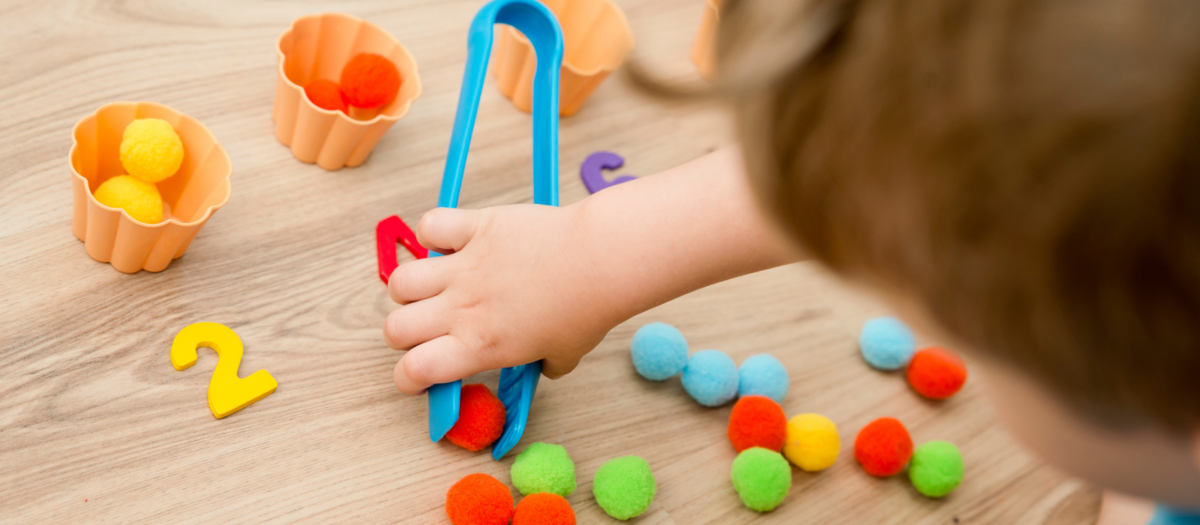 Child sorting pom poms by numbers. 