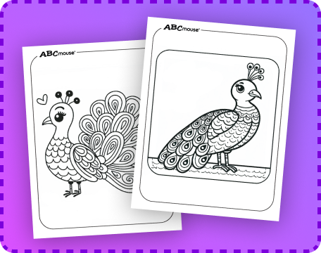 Free printable peacock coloring pages from ABCmouse.com. 