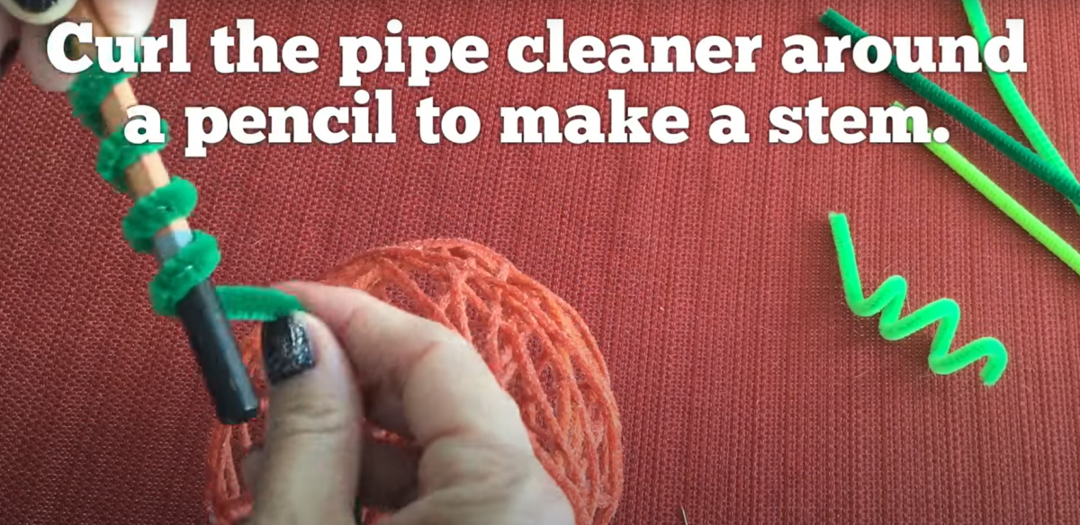 Curl the pipe cleaner around a pencil to make a stem. 