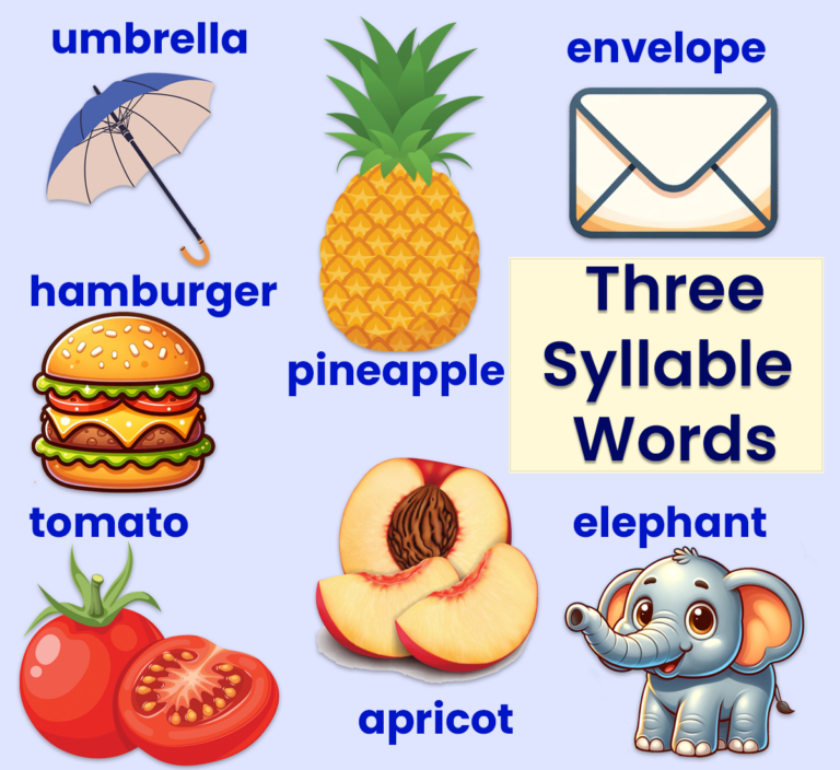 Three Syllable Words | ABCmouse