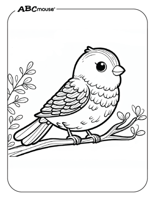 Free printable bird coloring page from ABCmouse.com. 