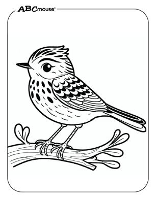 Free printable bird coloring page from ABCmouse.com. 