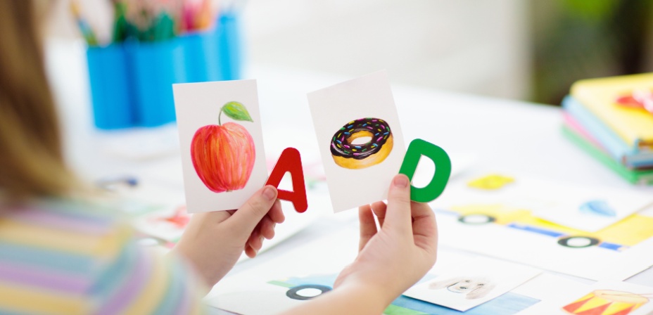 Young girl holding flashcards of an apple and letter A, and a donut and letter D. 