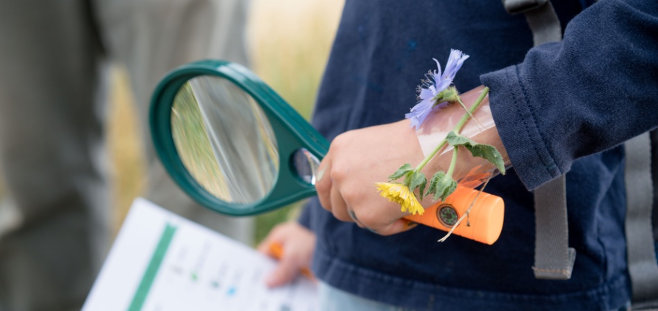 Child holding a magnifying glass ready to go on a treasure hunt. 