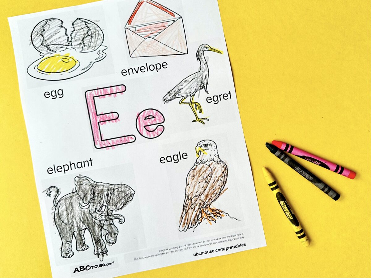 A coloring page of letter e objects colored and set on a yellow background. 