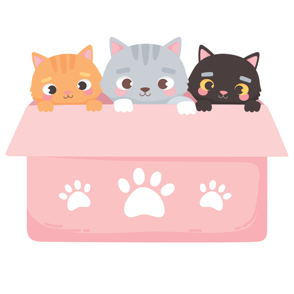 Three cute fluffy kittens in a pink box with paw prints on it. 