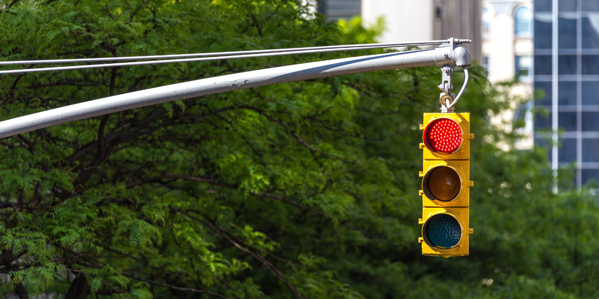 A red traffic light hanging in front of a backdrop of green foliage. 