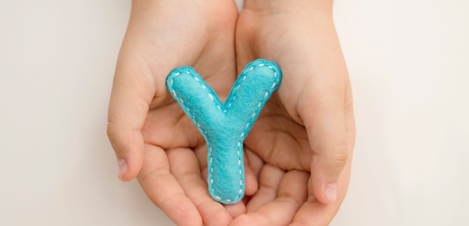 A pair of cupped hands holding a felt letter y in the middle. 