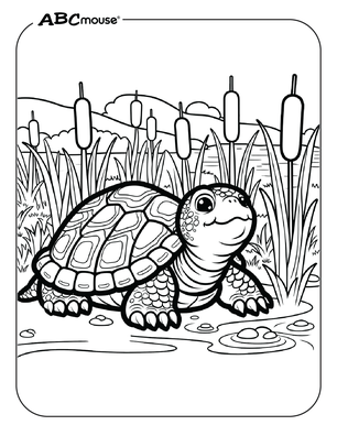 Free printable turtle in cattails coloring page from ABCmouse.com. 