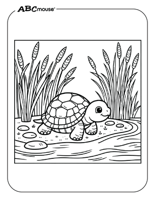 Free printable baby turtle near a pond coloring page from ABCmouse.com. 