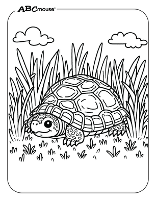 Free printable realistic turtle in the grass coloring page from ABCmouse.com. 