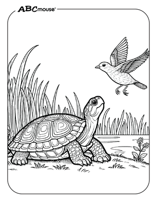 Free printable turtle with bird coloring page from ABCmouse.com. 