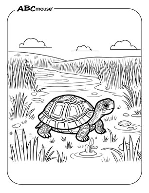 Free printable turtle in a field coloring page from ABCmouse.com. 