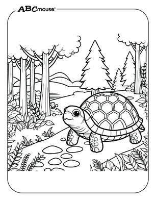 Free printable turtle on a path coloring page from ABCmouse.com. 