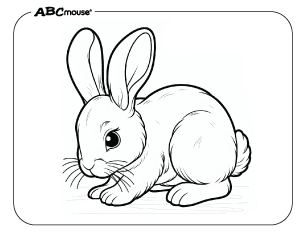 Free printable bunny rabbit coloring page from ABCmouse.com. 