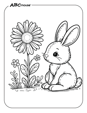 Free printable bunny rabbit coloring page from ABCmouse.com. 