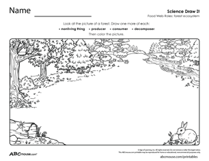 Free printable habitat, environment and ecosystem draw it worksheet from ABCmouse.com. 