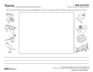 Free printable habitat, environment and ecosystem write about it worksheet from ABCmouse.com. 