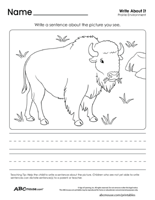 Free printable habitat, environment and ecosystem write about it worksheet from ABCmouse.com. 