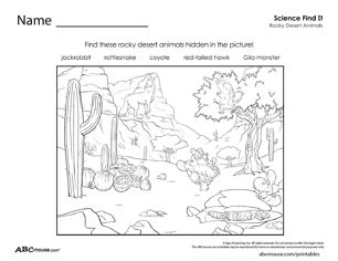 Free printable habitat, environment and ecosystem rocky animals find it worksheet from ABCmouse.com. 