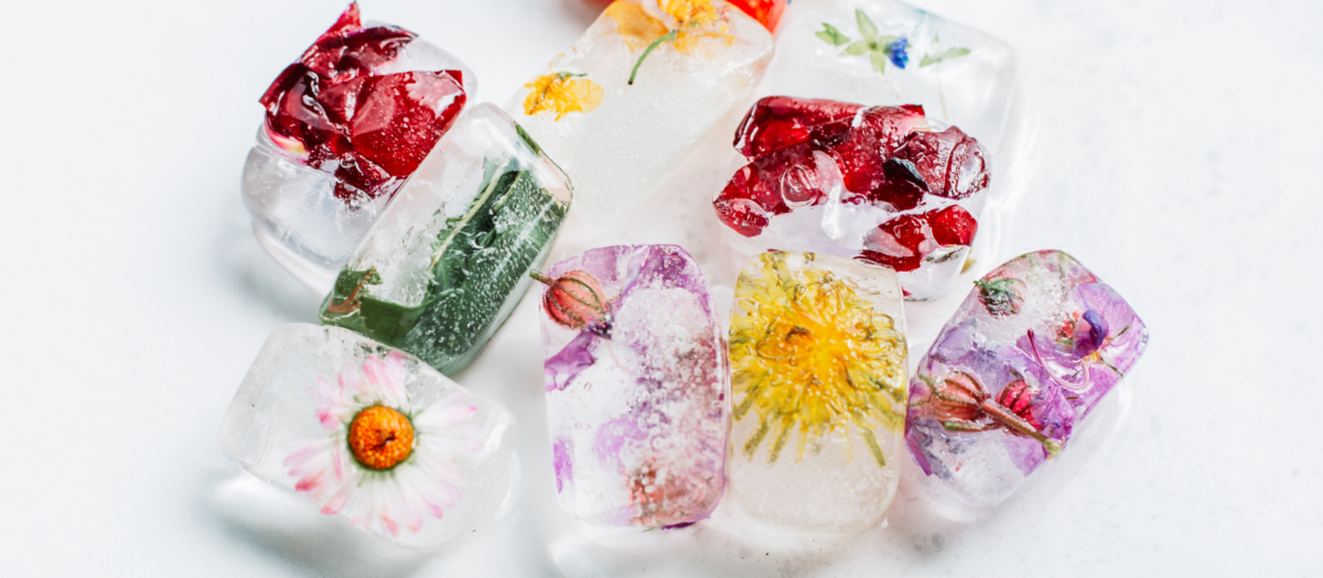 Brightly colored flowers frozen in ice cubes. 