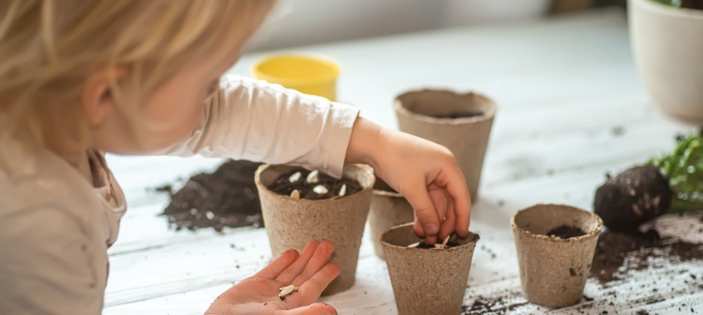 Young girl planting seeds in pots. 