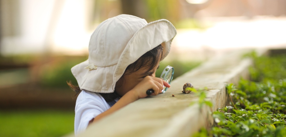 Young child looking through a magnifying glass at a snail. 