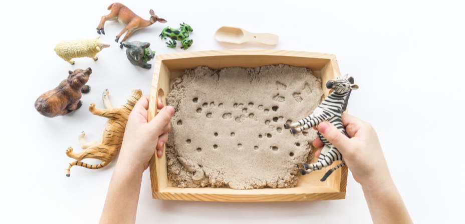 A tray of sand with foot prints from plastic toy zoo animals around the outside. A child's hands holding one side of the tray and a zebra in the other hand. 