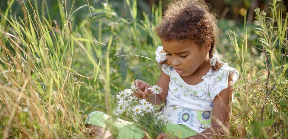 A young girl sitting in tall grass studying a bouquet of white daisies she's picked. 