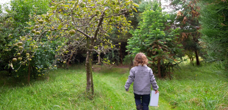 A young child walking down a grass path towards a grove of trees with a paper in their right hand. 