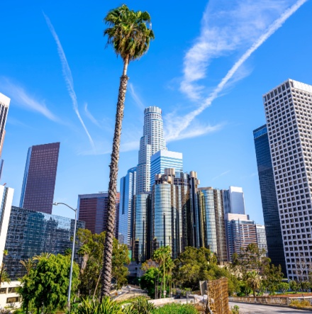 Downtown Los Angeles skyscrapers. 