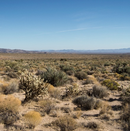 California Mojave desert. 