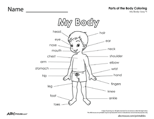 Parts of the body-boy free printable worksheet from ABCmouse.com. 