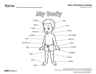 Parts of the body-boy free printable worksheet from ABCmouse.com. 