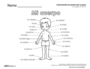 Parts of the body-boy in Spanish free printable worksheet from ABCmouse.com. 